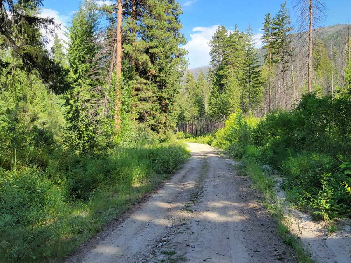 FR 4420 - West Buttermilk Creek Road photo 4