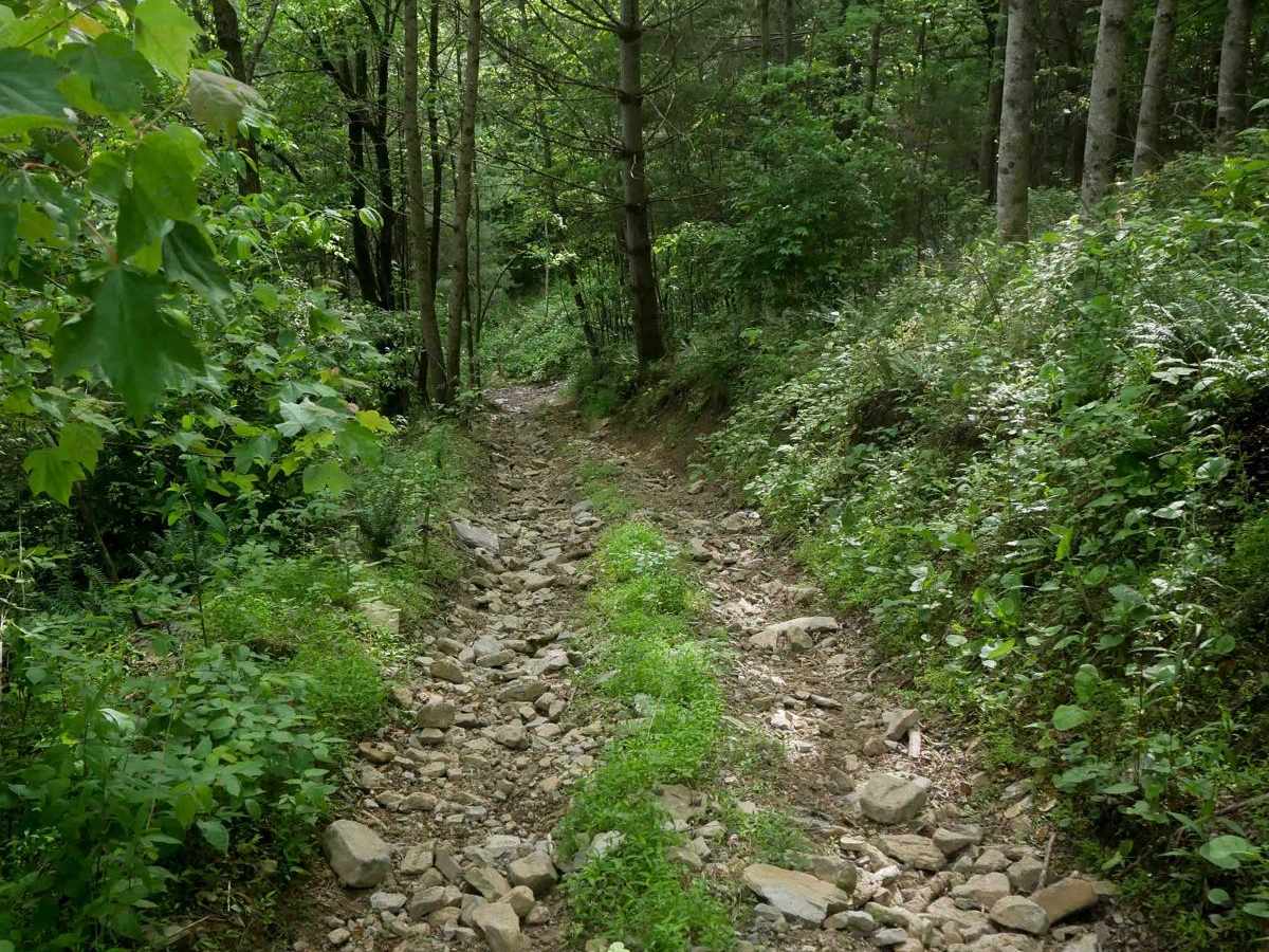 MV13 trail photo