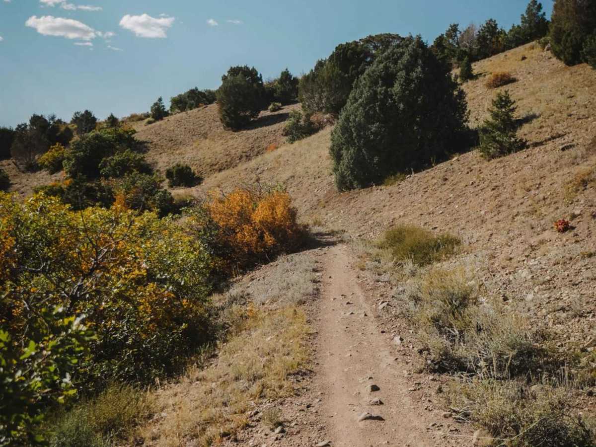 South Porcupine Trail photo 4