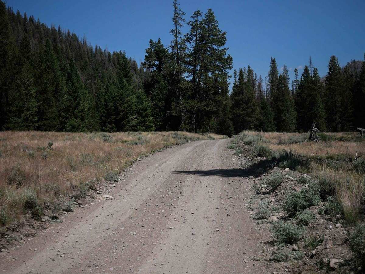 Smiley Creek photo 4