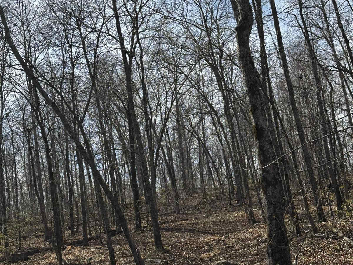 Hillside Trail trail photo