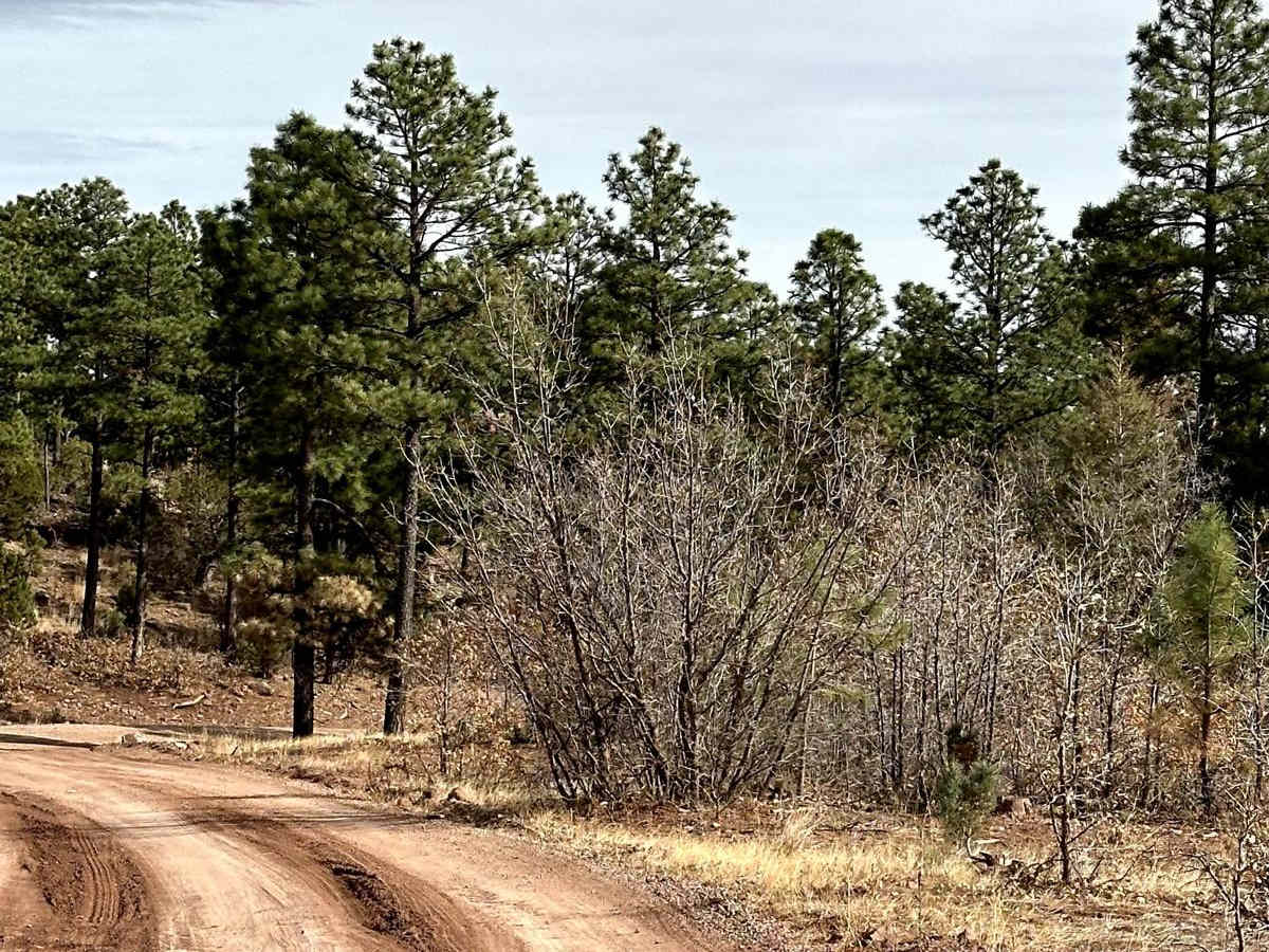 Red Canyon Campground trail photo