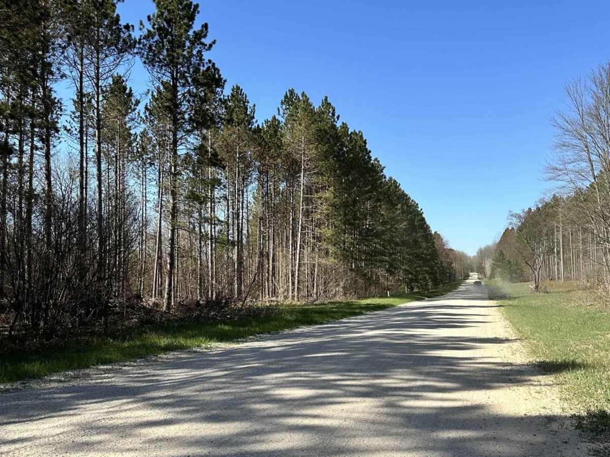 Cadillac Area ORV/OHV Scenic Ride - Part 20 trail photo