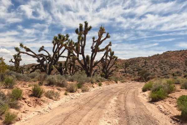 Davidson Wash