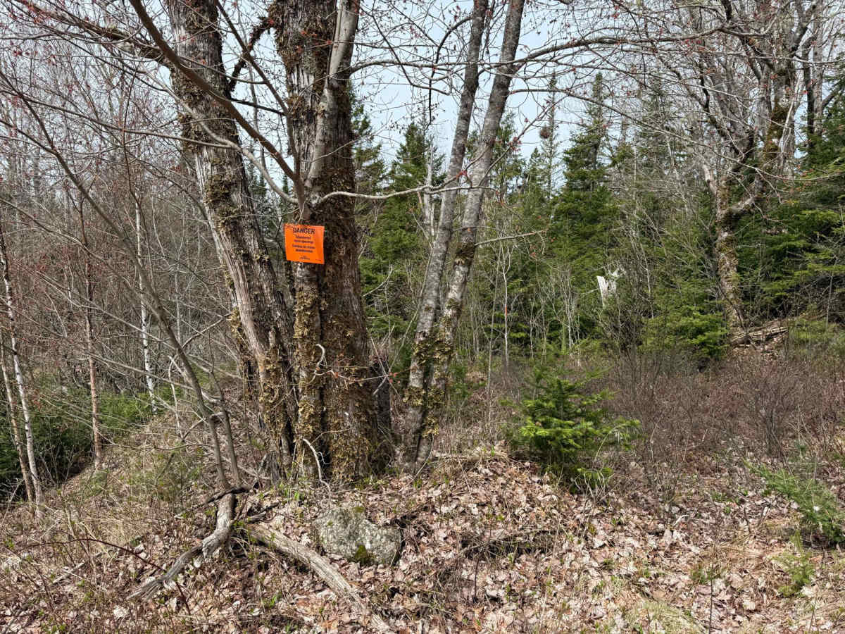 Route 12 photo 5