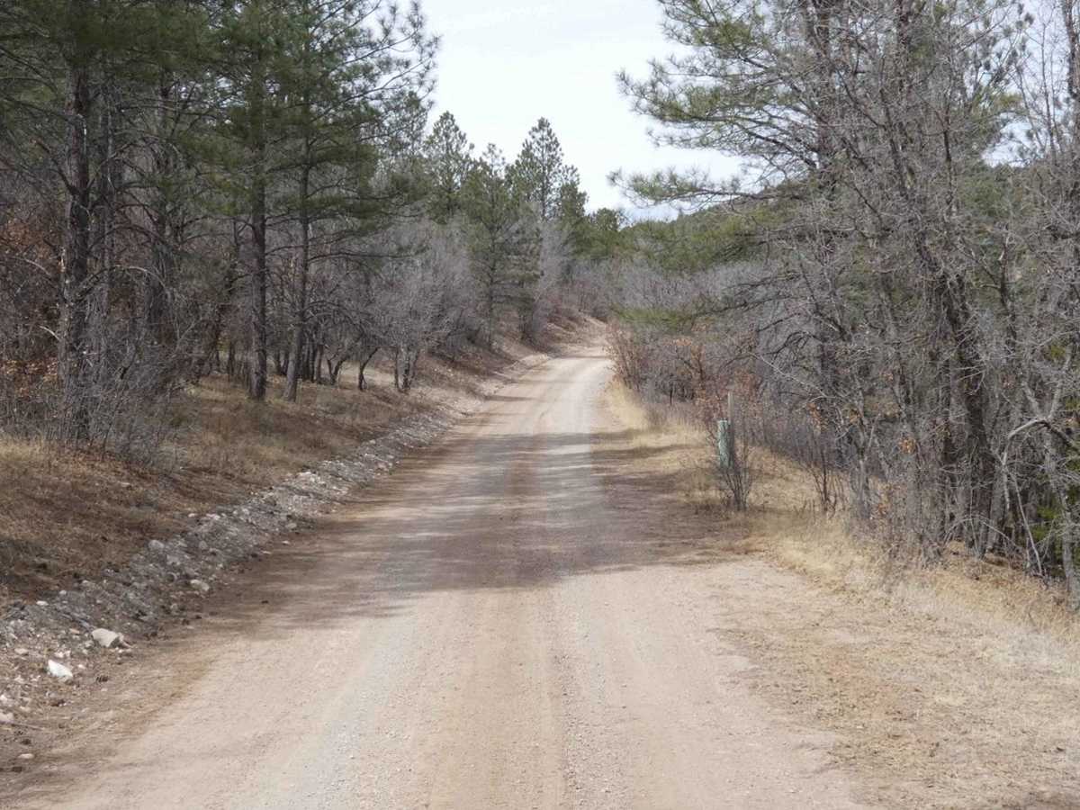 Curtis Canyon photo 3