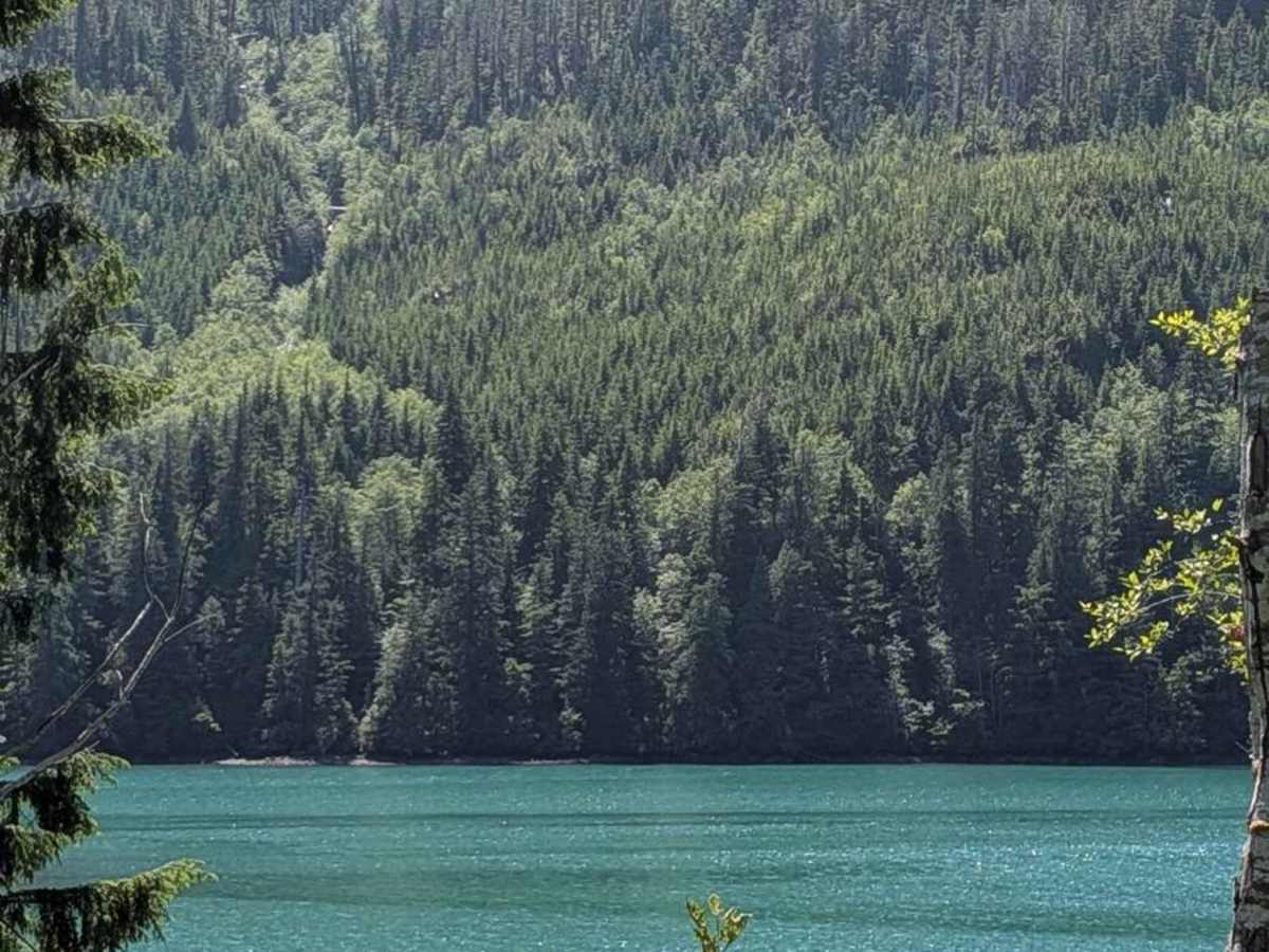 Klaskino Inlet photo 4