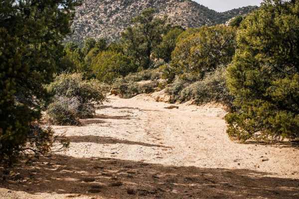 ATV Sand Wash Trail