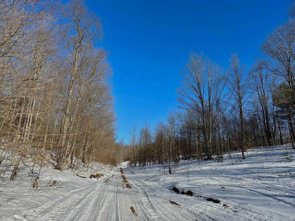 Middle Haze Road photo 4