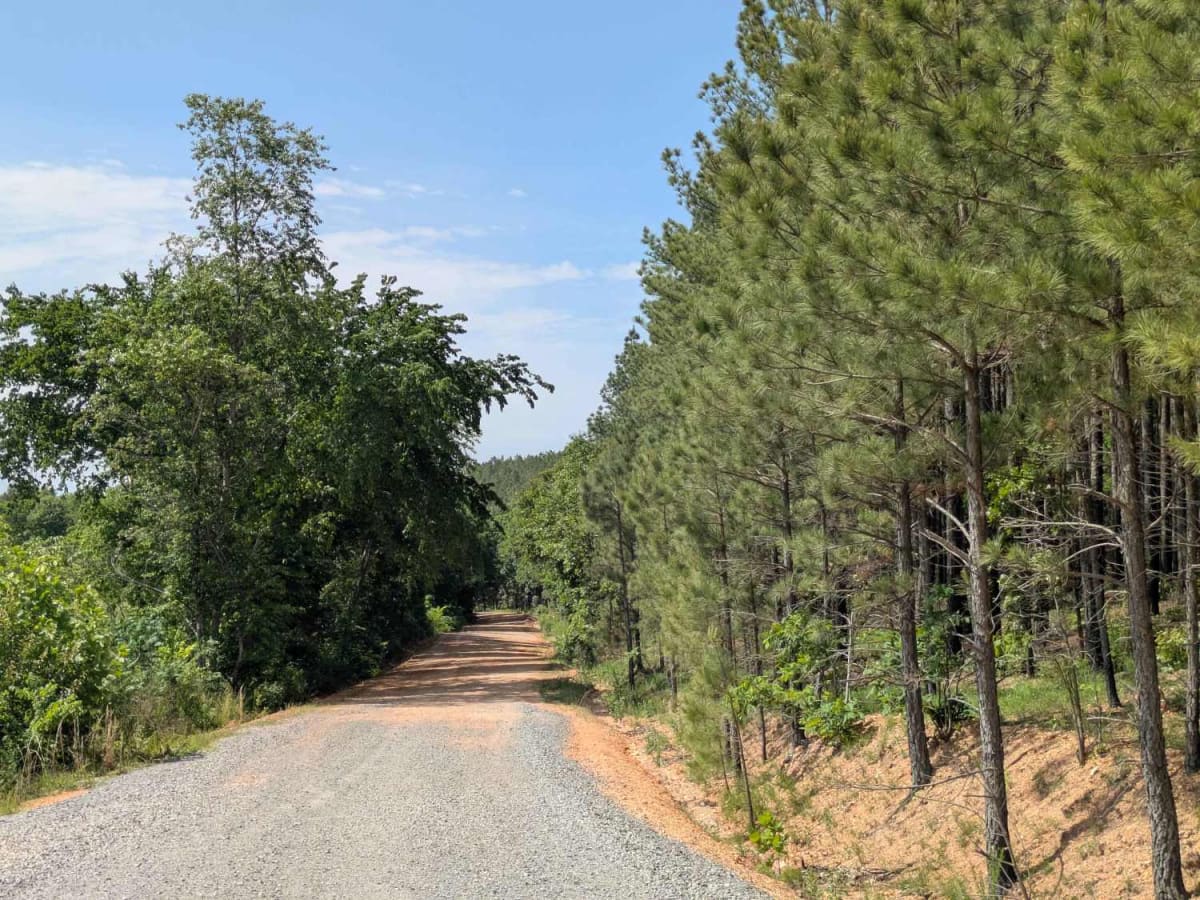 D0480 trail photo