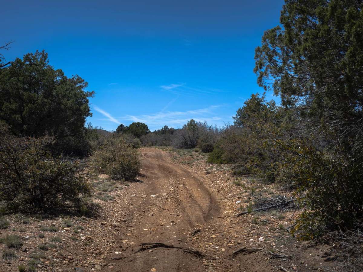 Burnt Wash trail photo