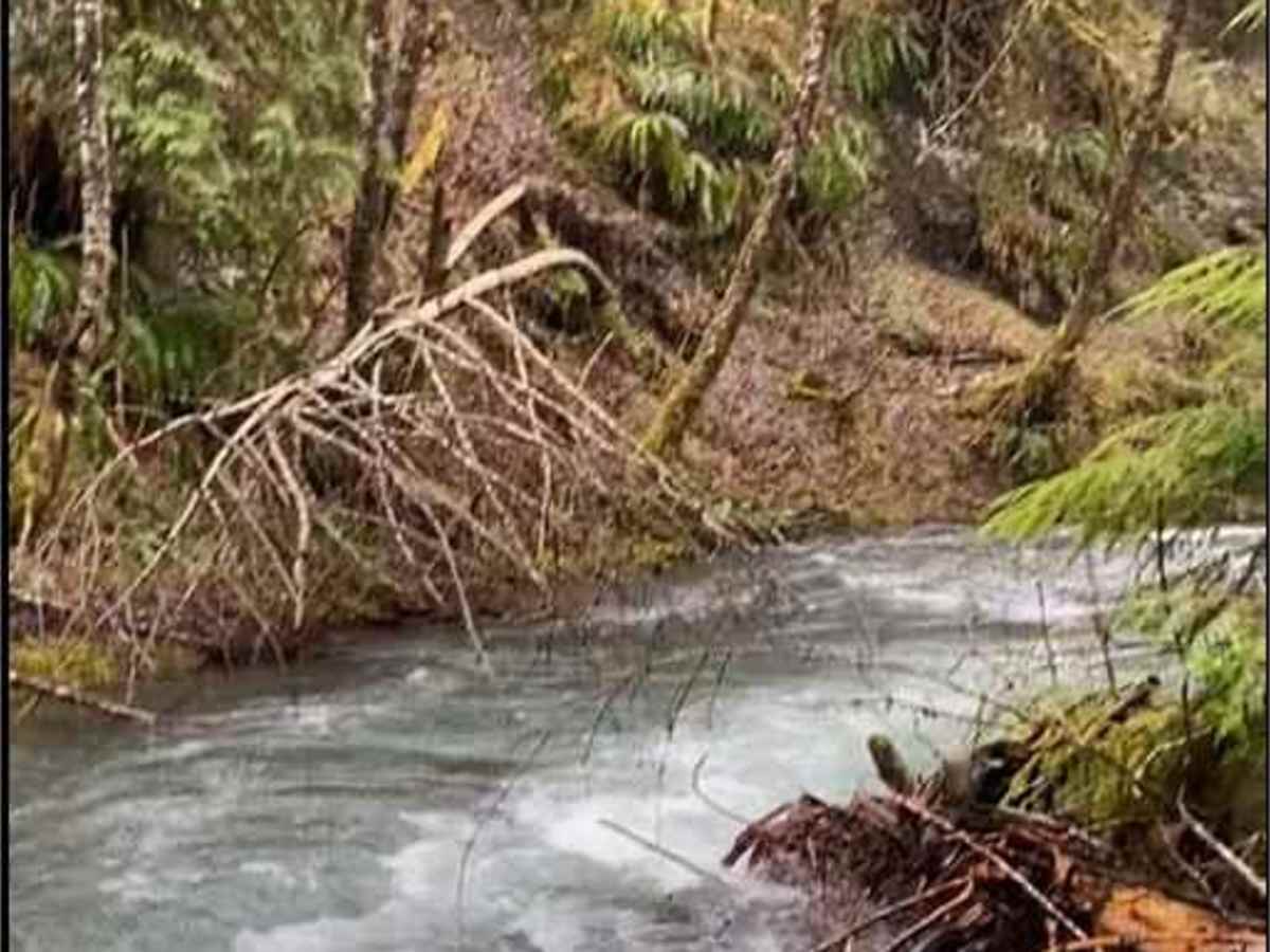Spoon Creek Falls Adventure photo 2