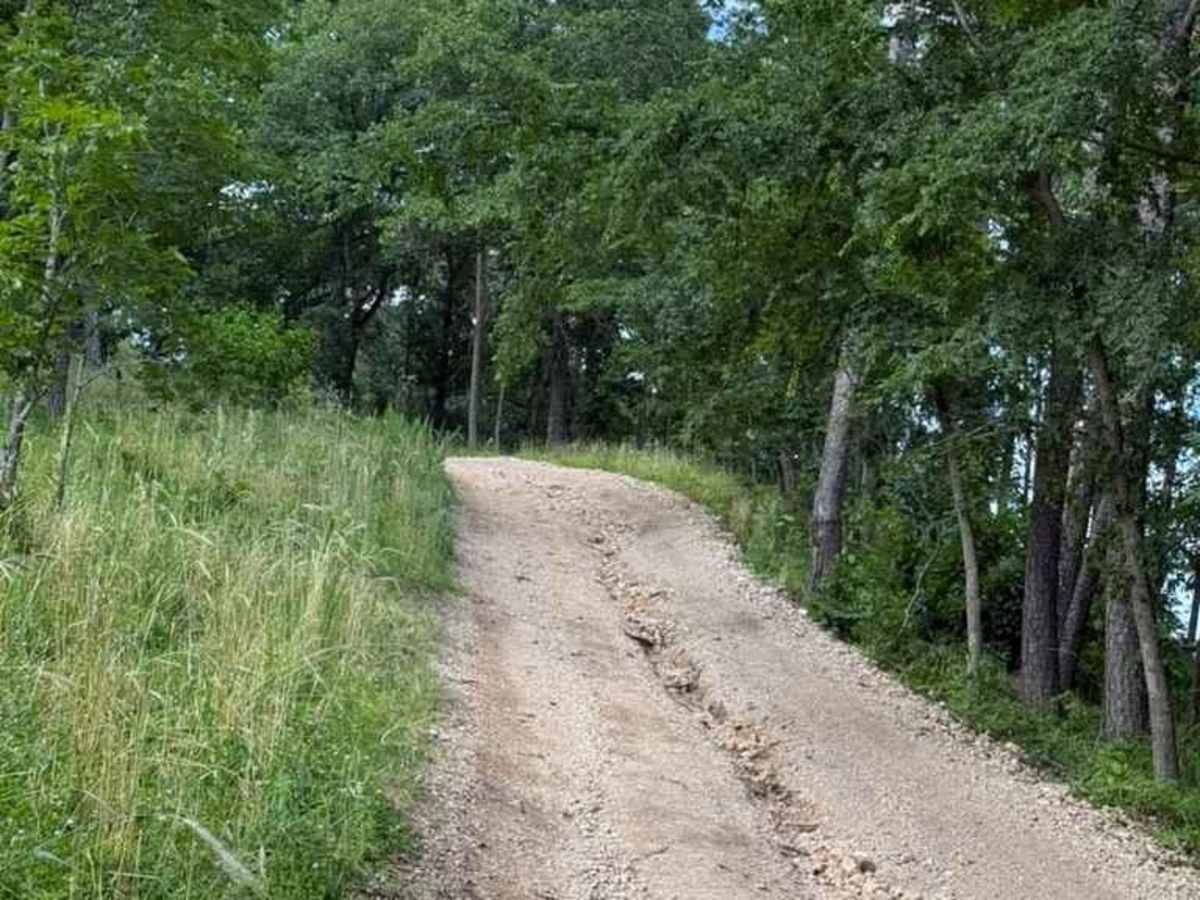 Brandon's Trail photo 2