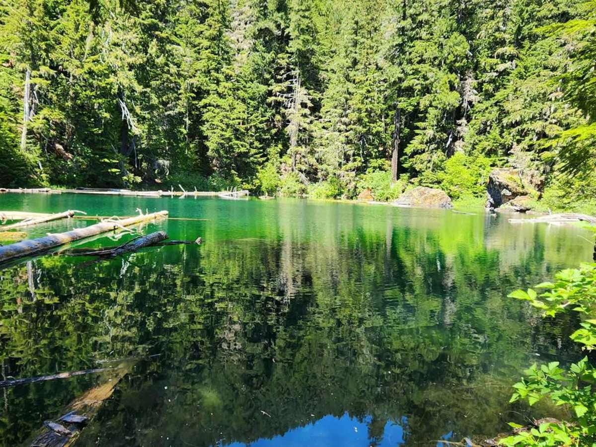 Goober Pond trail photo