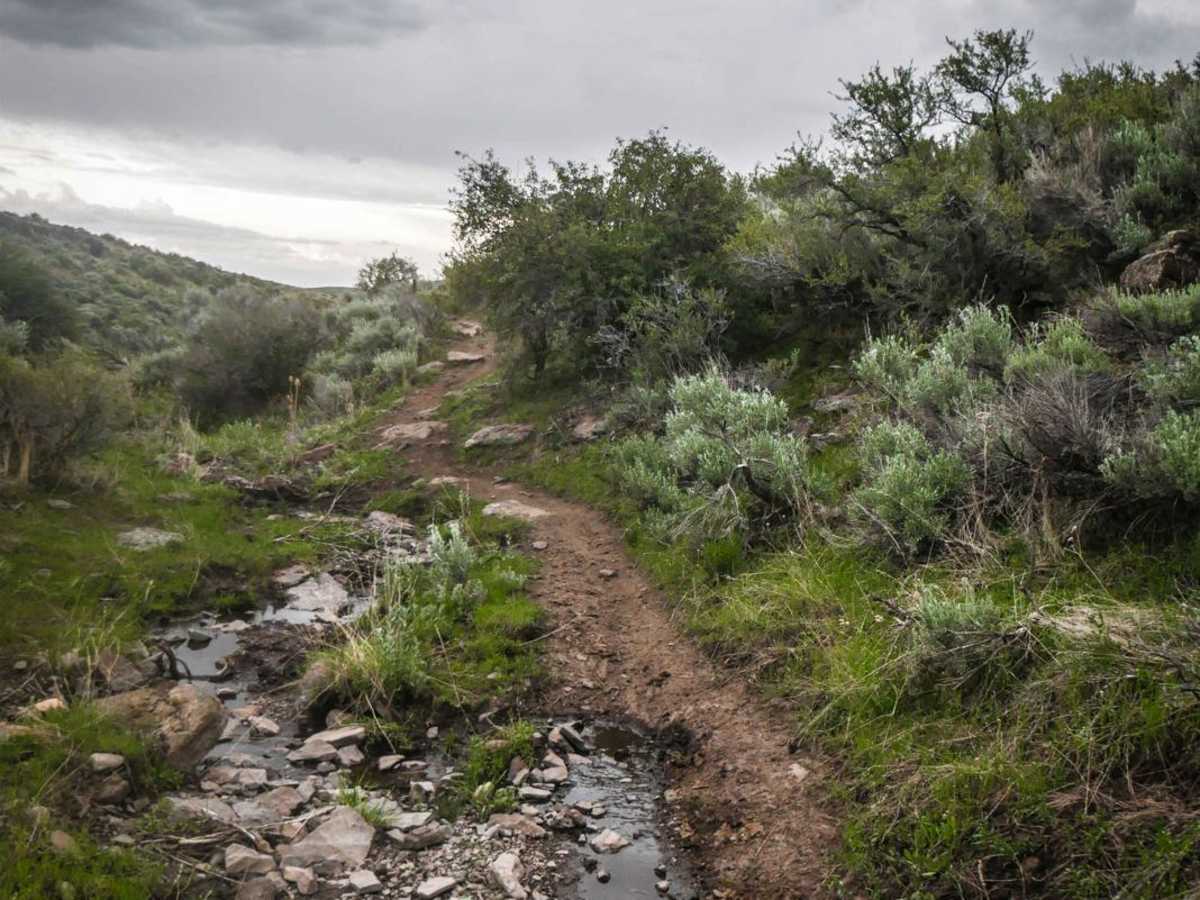 Upper Dry Gulch trail photo
