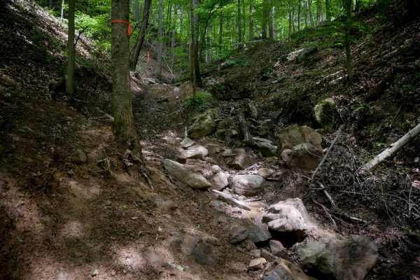 Puke Creek