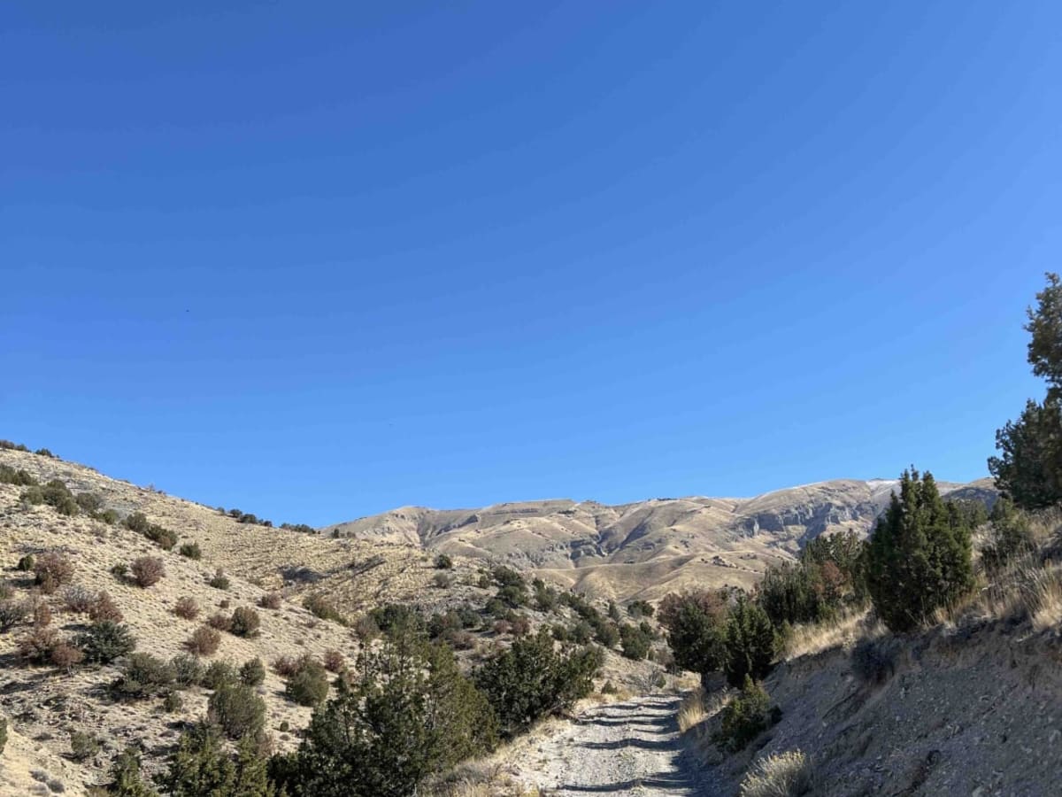 Quincy Spring Canyon trail photo