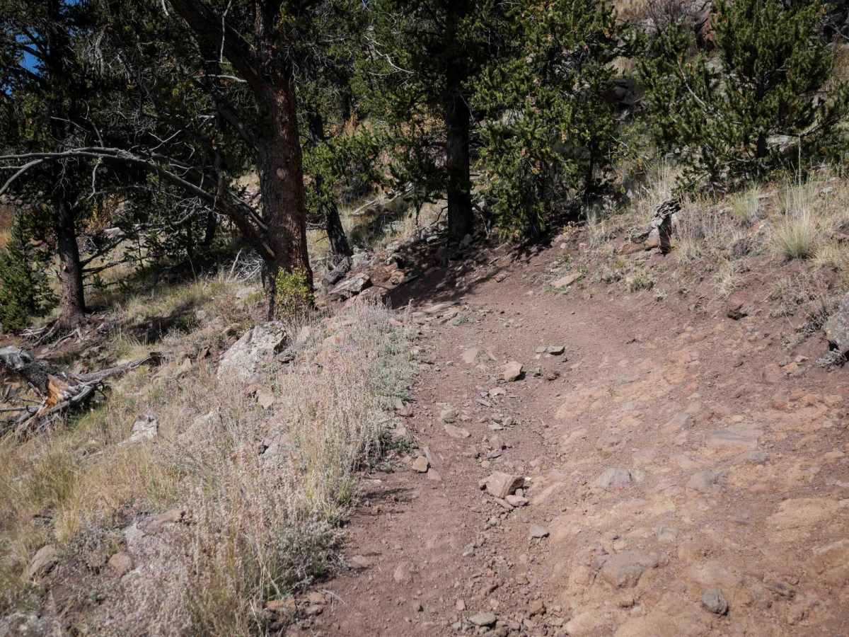 La Garita Creek ATV photo 3