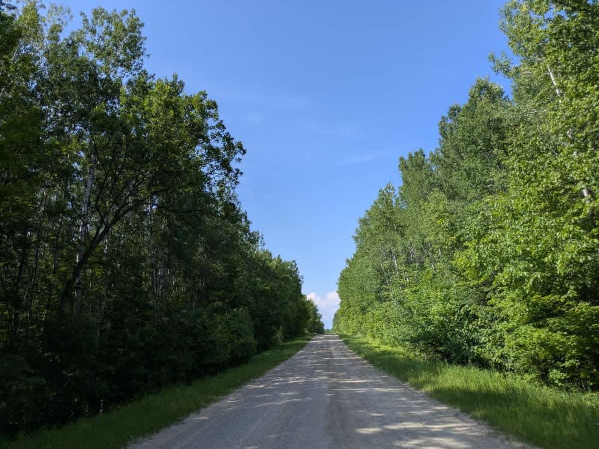 County Road 173 photo 6