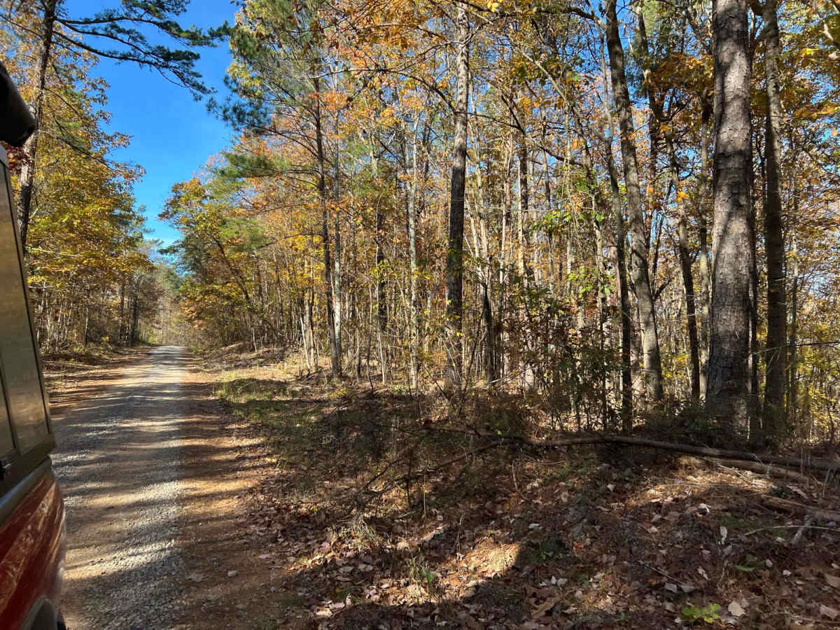 Braziel Creek Road - FS 223 trail photo