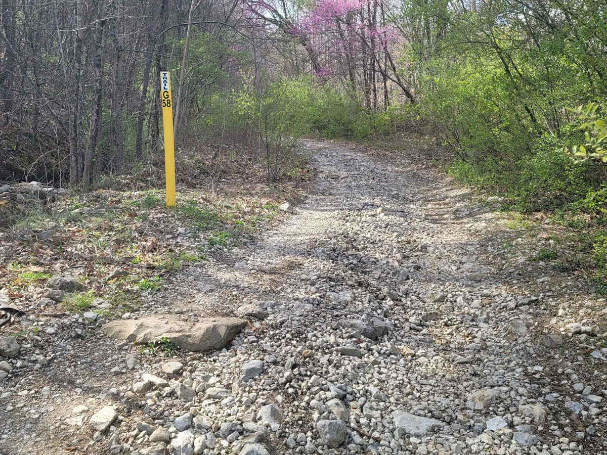 G58 - Cambria Hollow trail photo