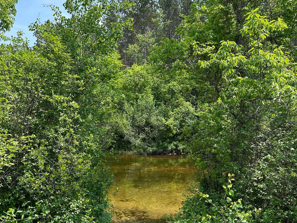 Betsie Road photo 6