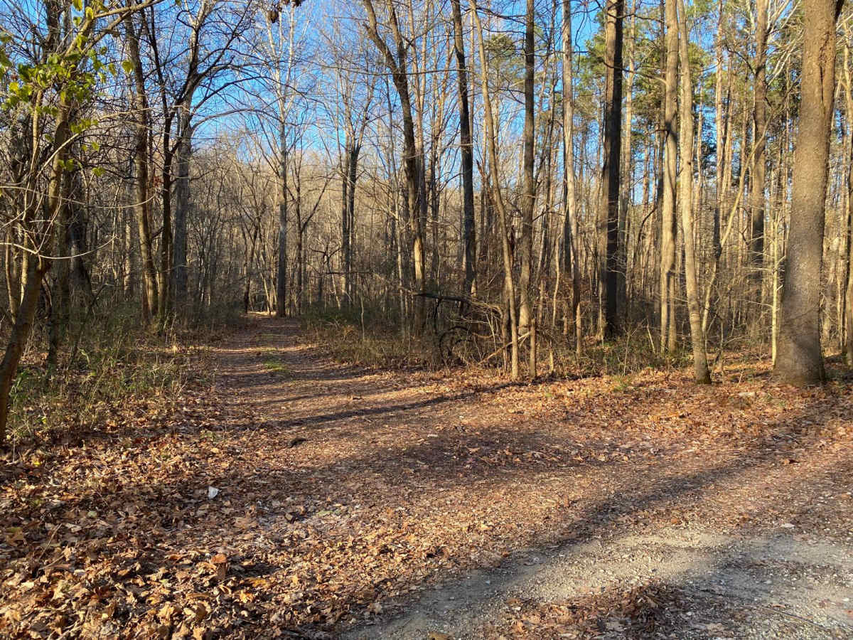 Wolf Creek Road photo 6