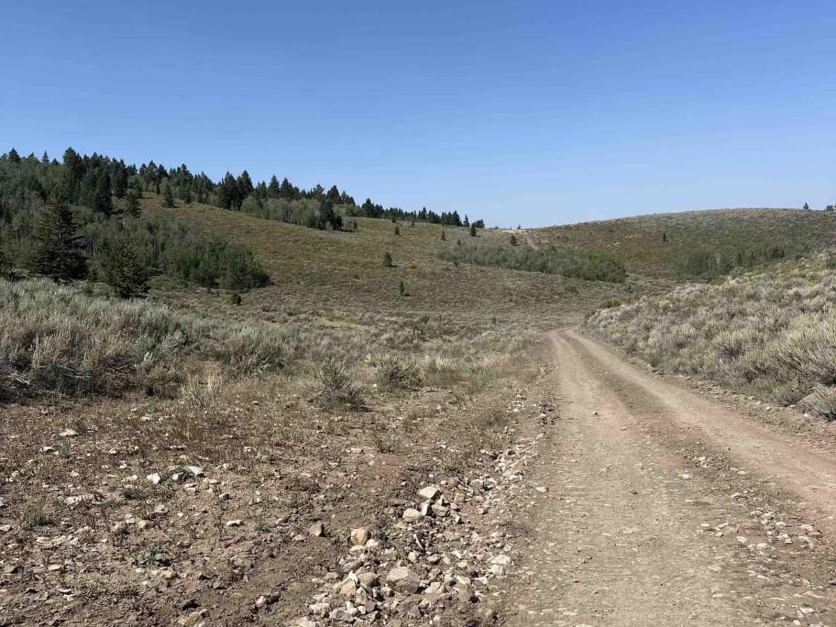 Indian Creek - Cow Camp  photo 4