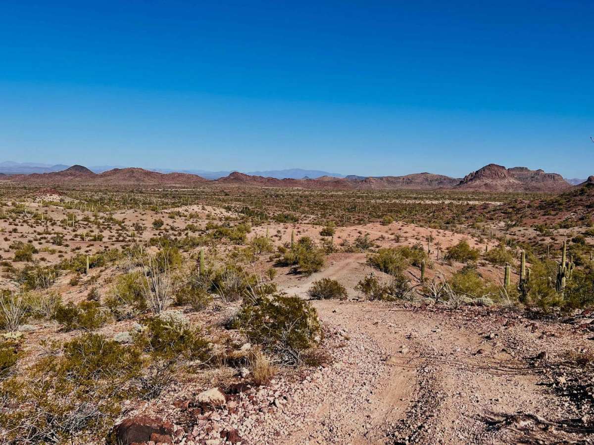 AZ Peace Trail Royal Arch Loop photo 4