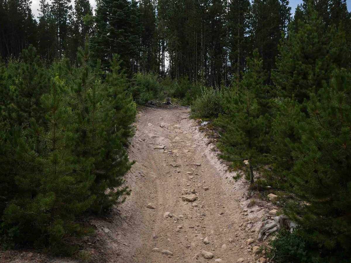 Illinois Ditch Trail  photo 4
