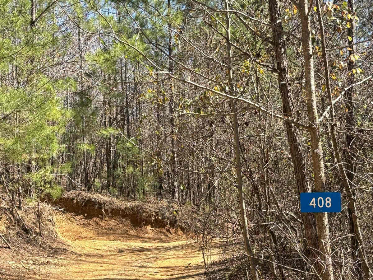 408 trail photo