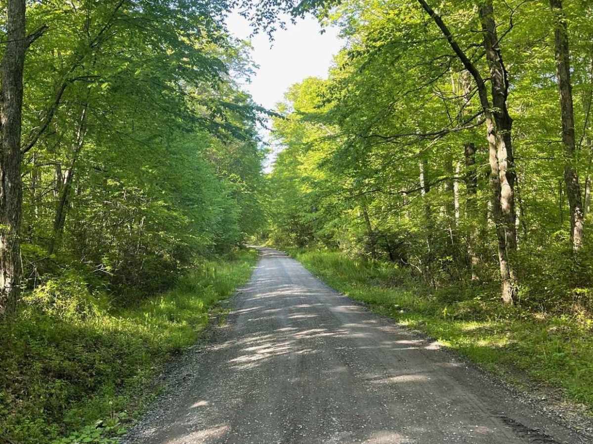Low Place Road photo 5