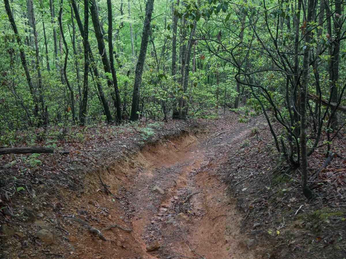 7C trail photo