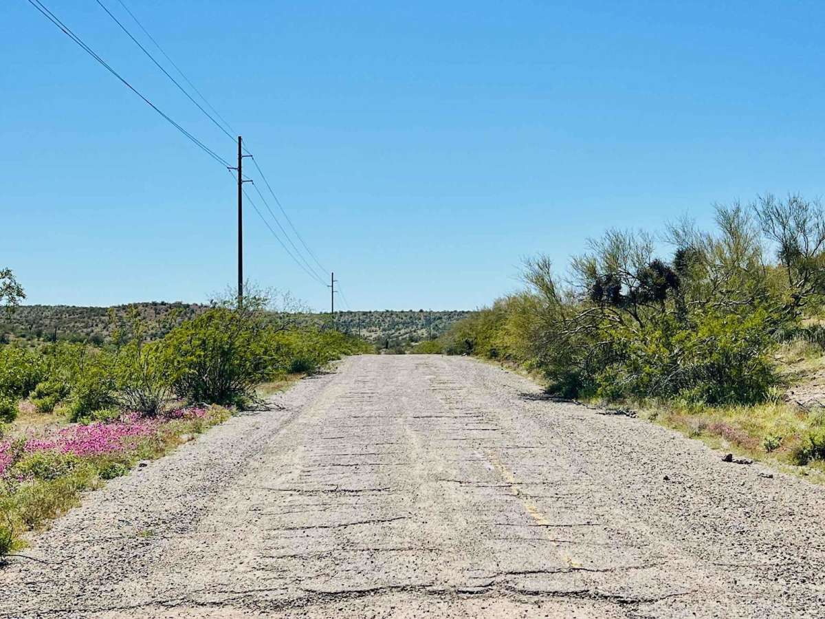 Ye Old Highway photo 6
