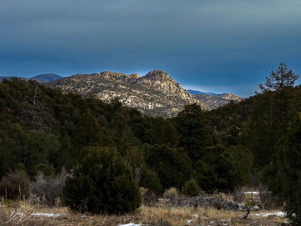 BLM 6012 photo 2