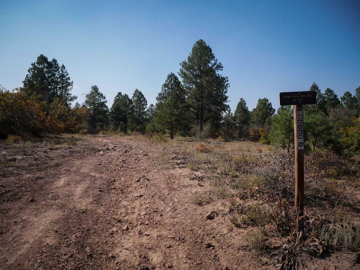 Spring Creek Spur A ATV Trail photo 4