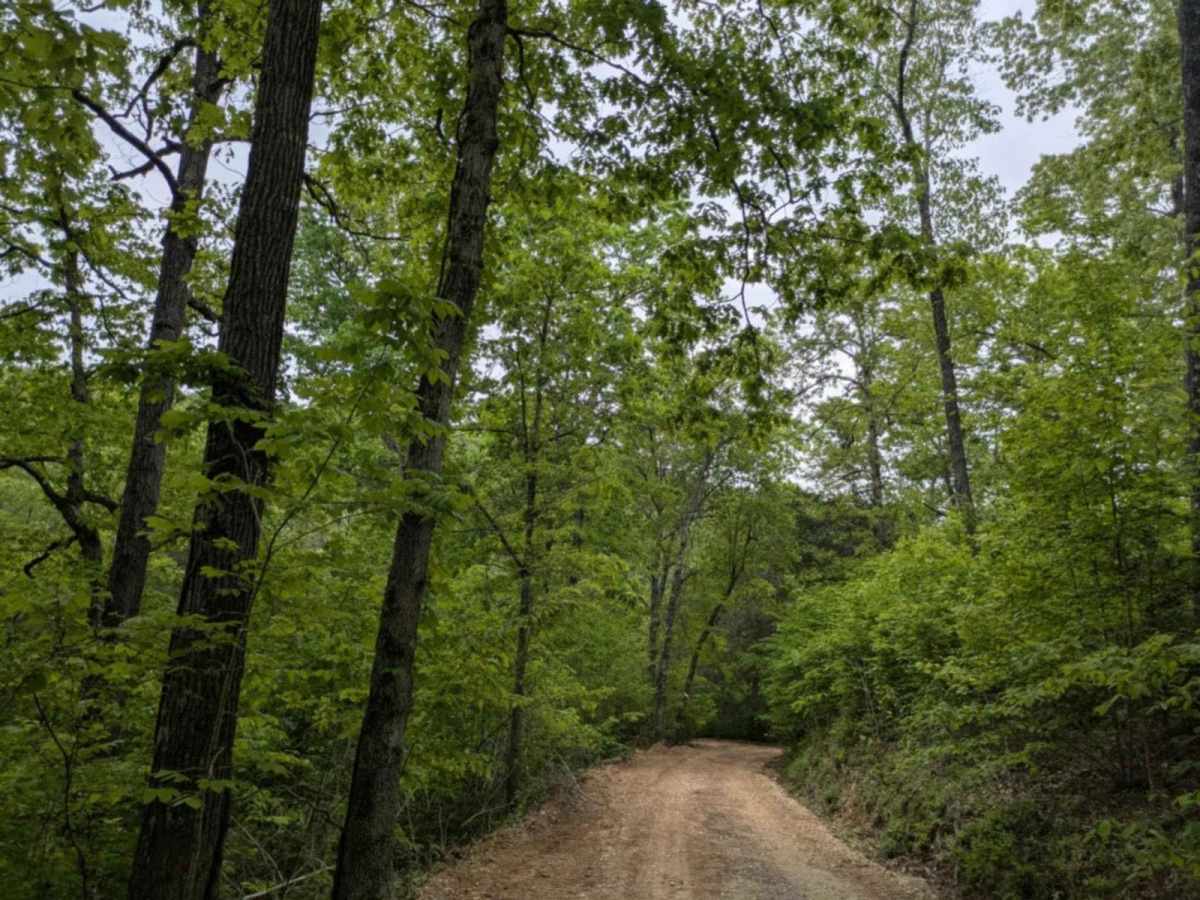 Hayden Road photo 6