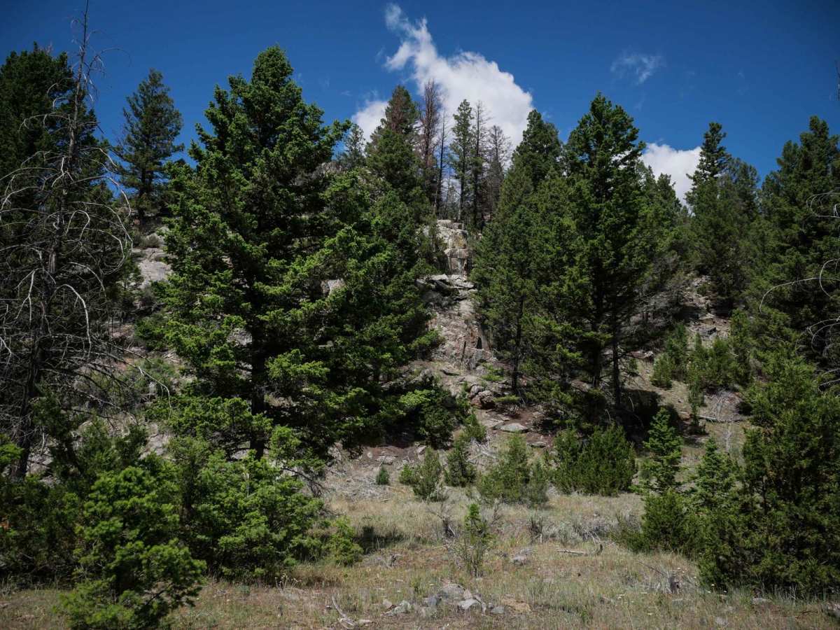 BLM 9 (Dry Creek Single Track) photo 4