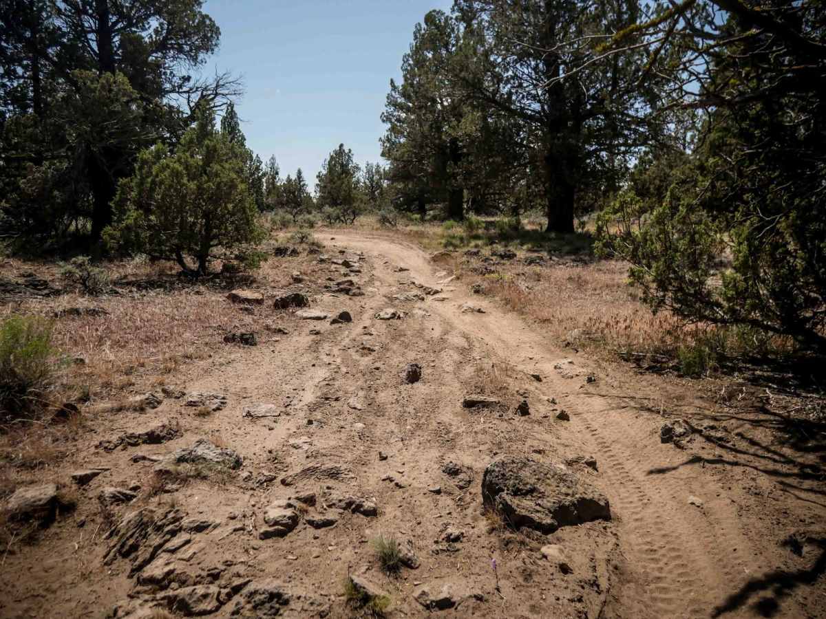 33 trail photo