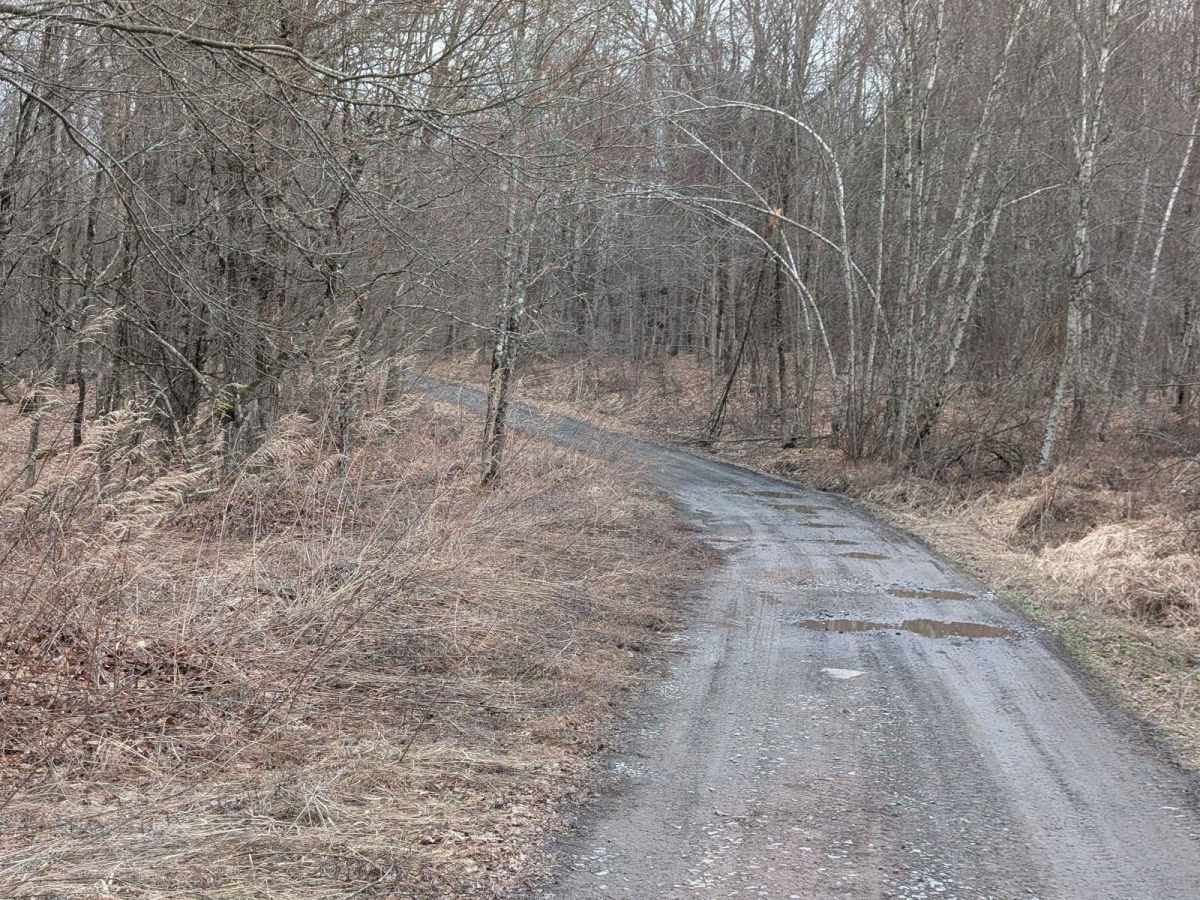 Slocum Hill Road photo 3