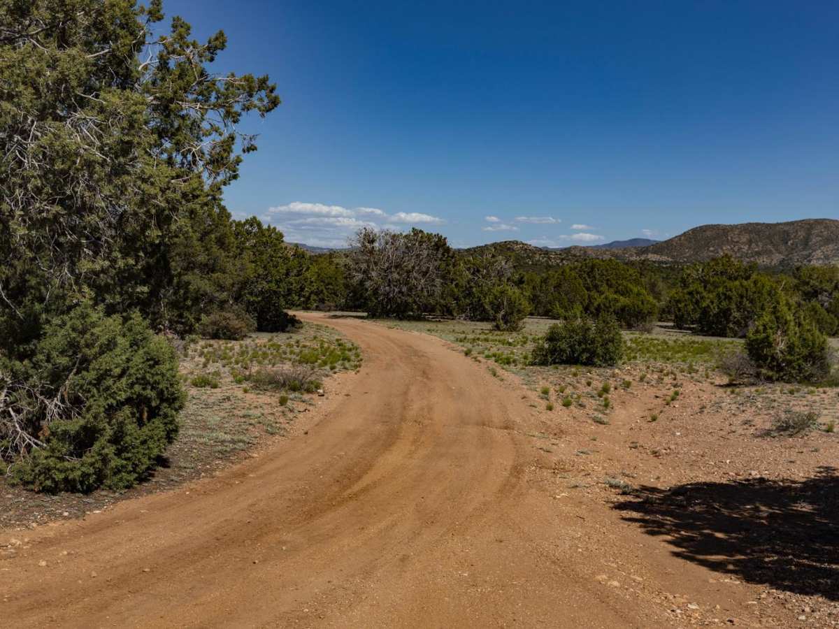 Wood Spring trail photo