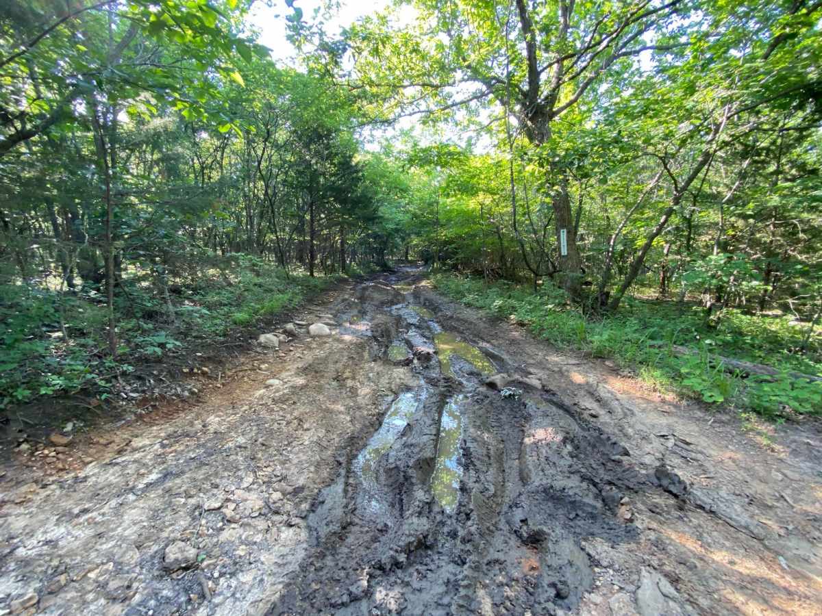Wayne's World trail photo