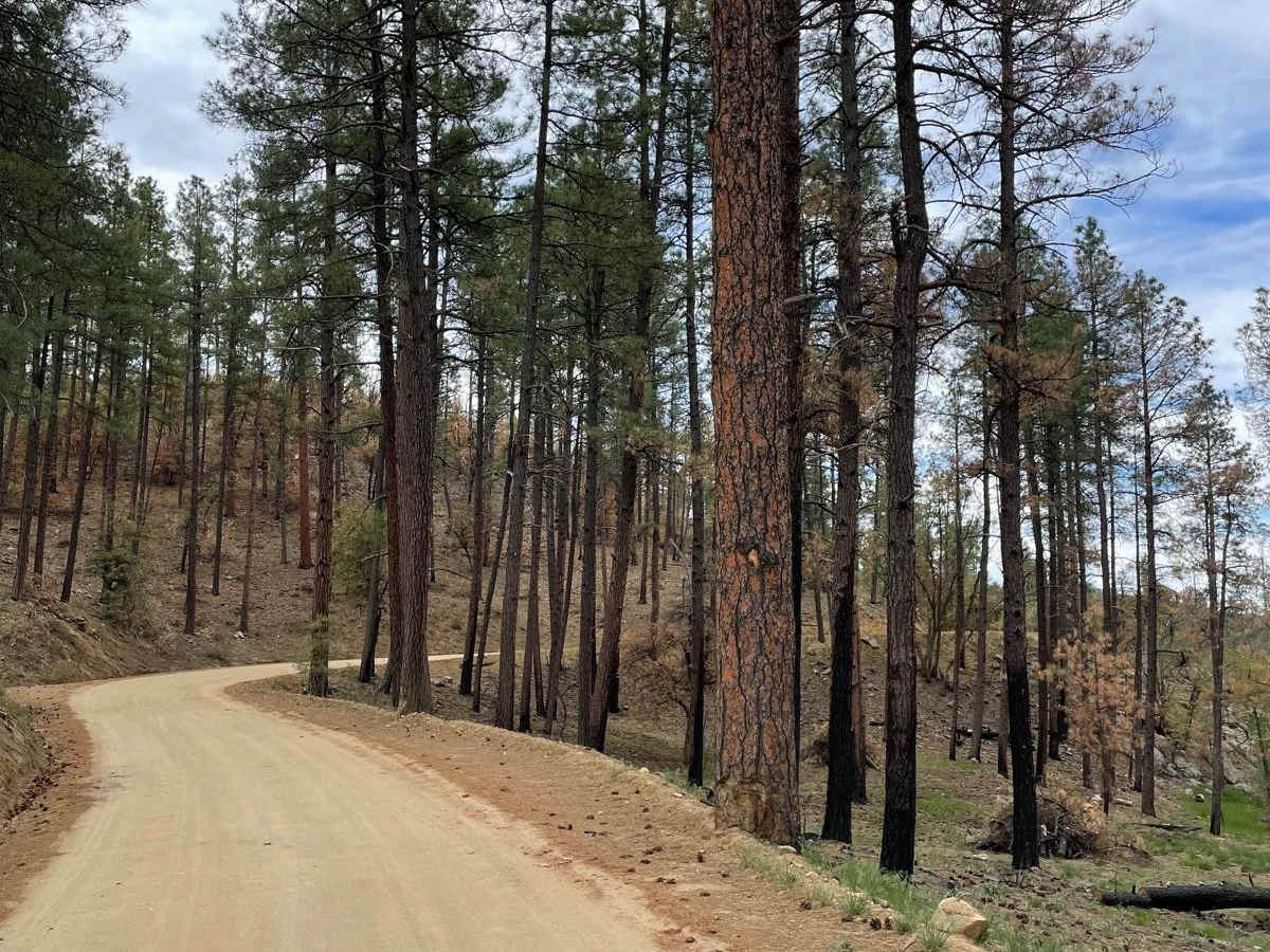 Wolf Creek to Senator Highway trail photo