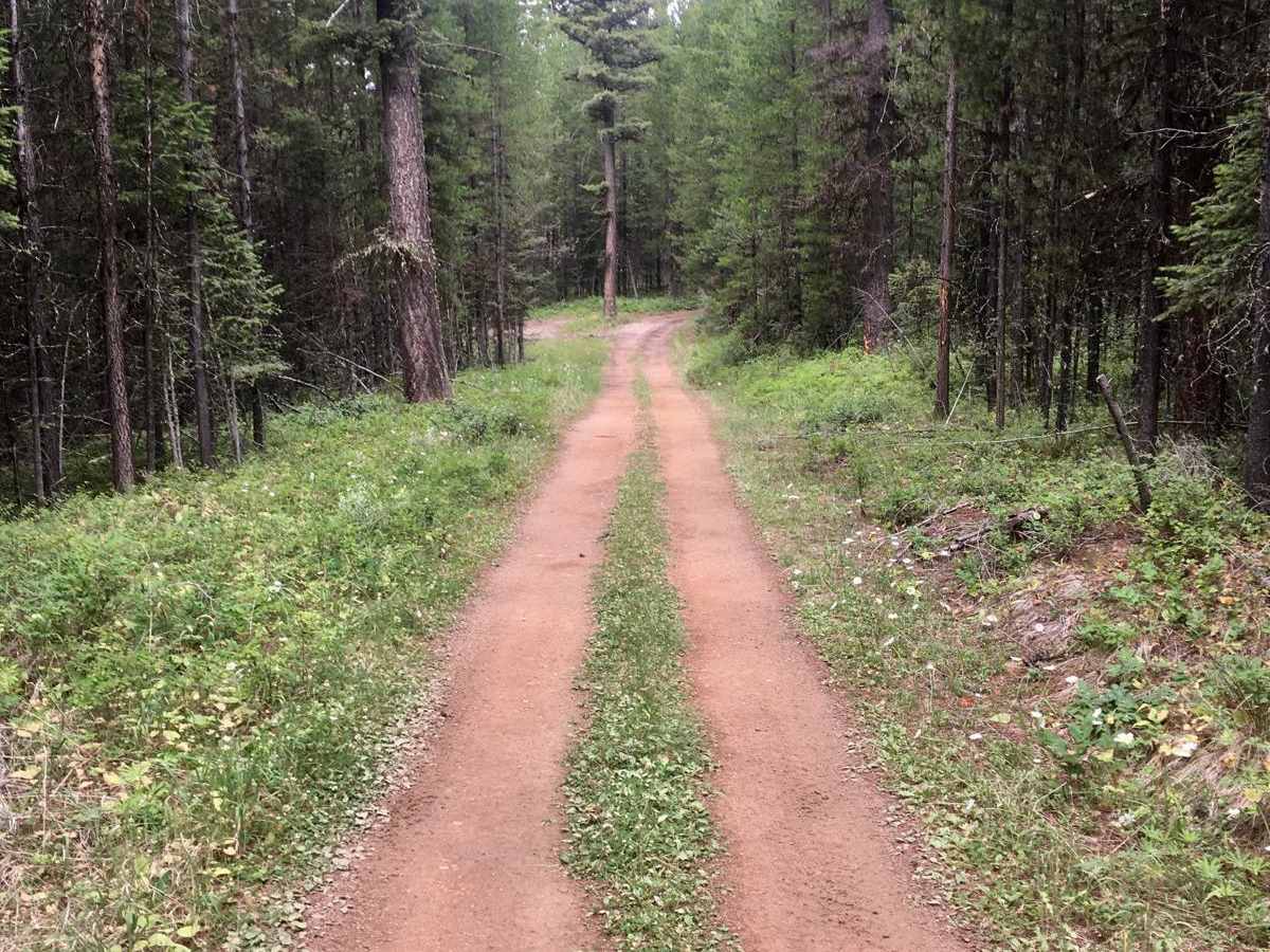 Lincoln View ATV Trail photo 6