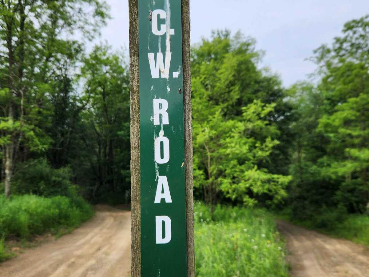 CW Road - Rock Run Recreation Area trail photo