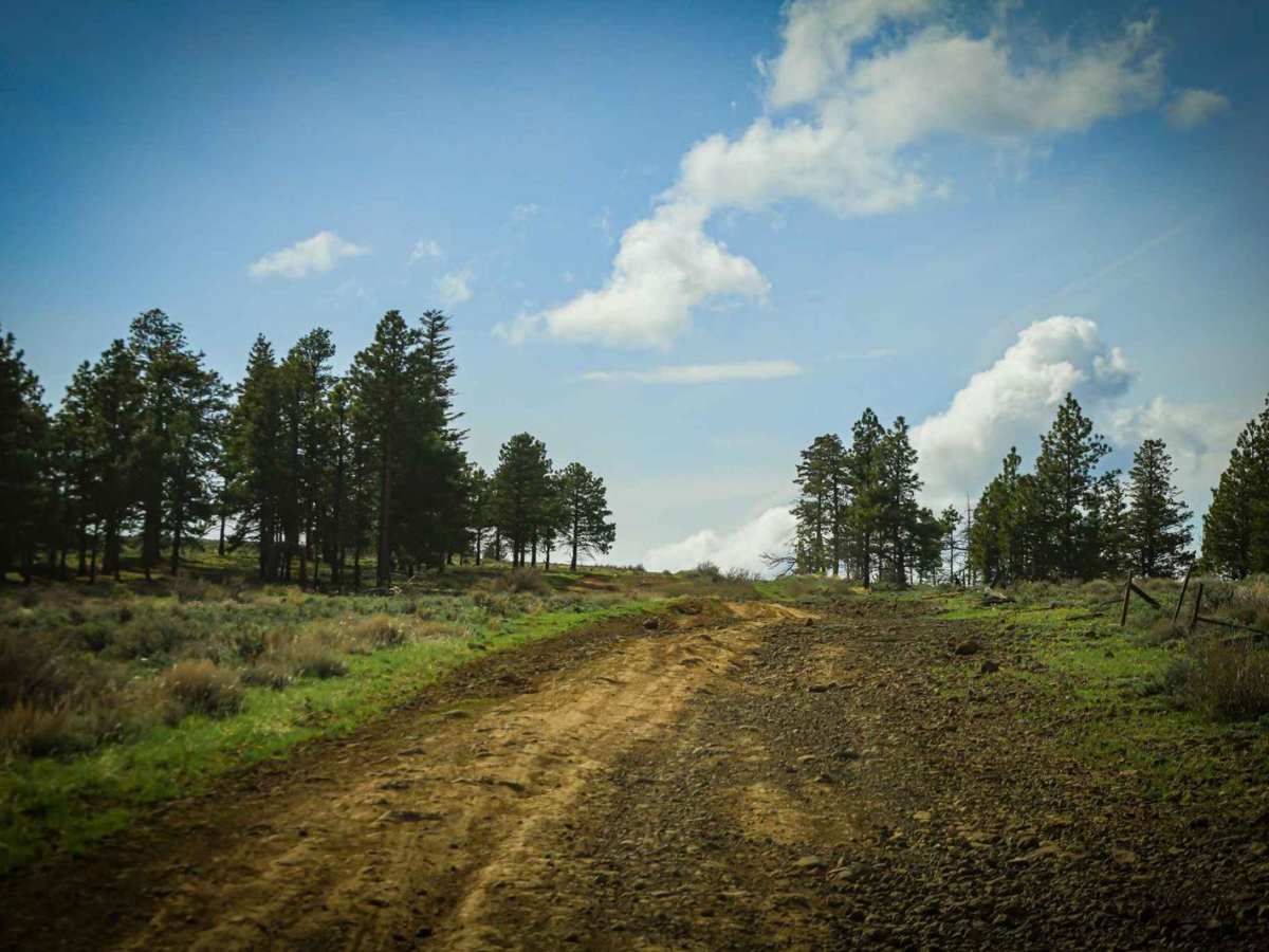 Quilomene Ridge Road photo 5