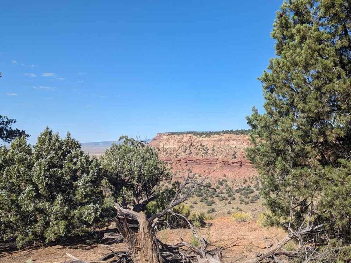Lost Spring Mesa BLM 2100 photo 4