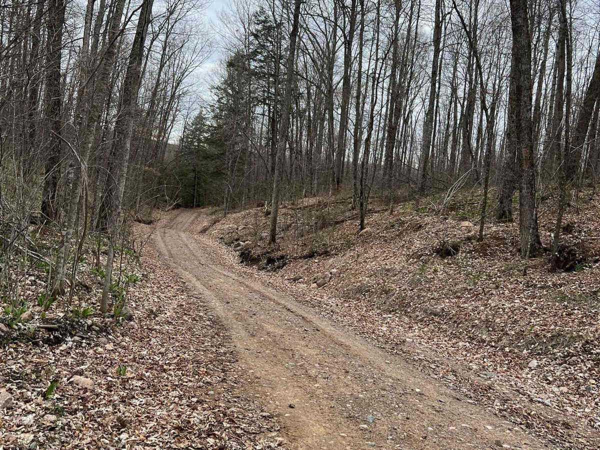 Wolf River to Junction 22A photo 2