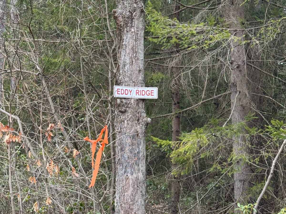 Eddy Ridge Road photo 2