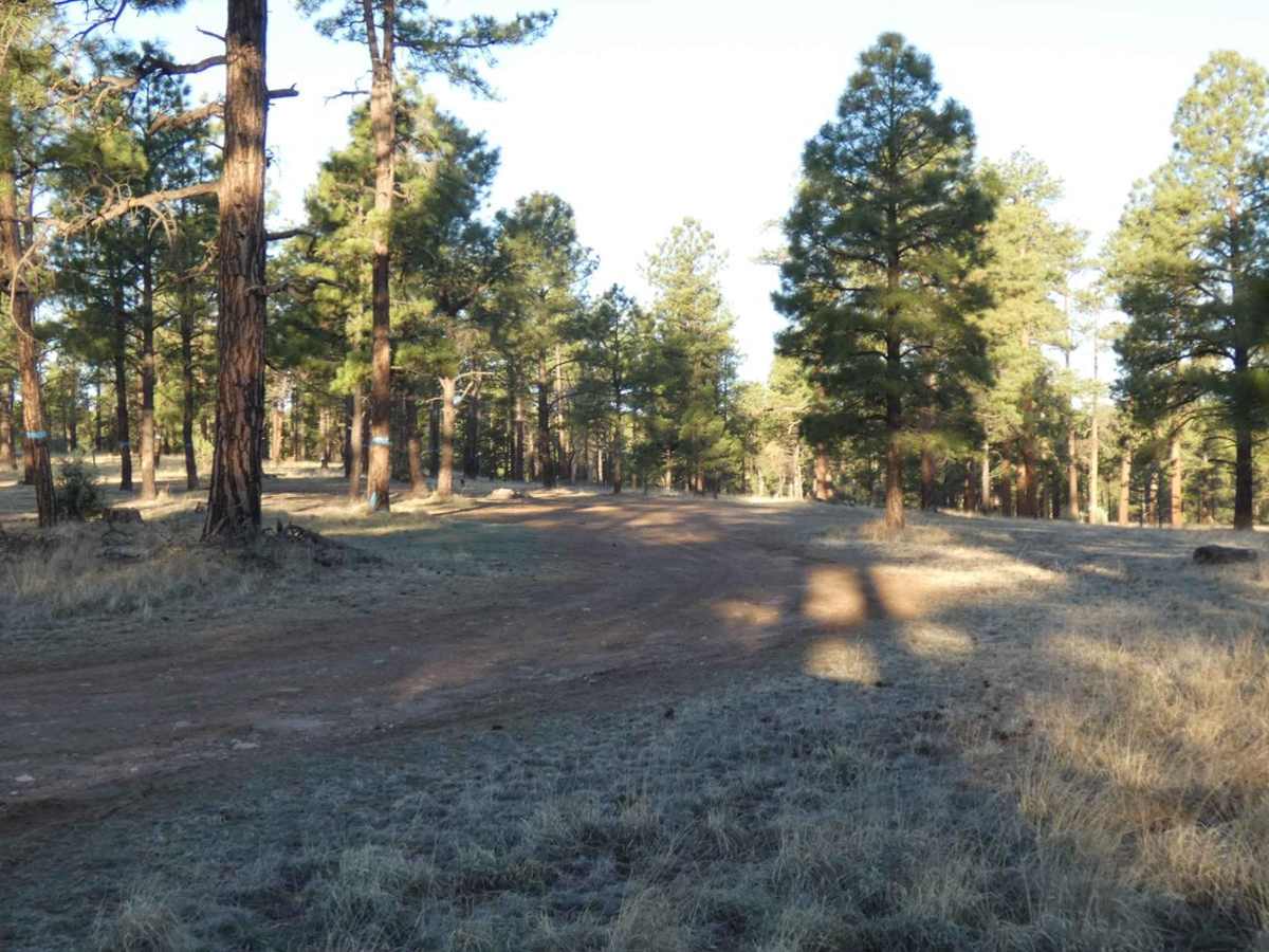 Adobe Ranch Road photo 4